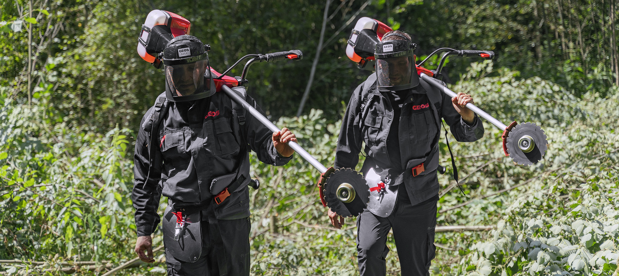 Обзор профессионального кустореза GEOS MAX 251 B