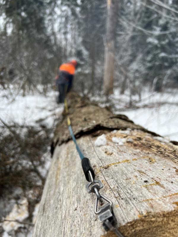 Тест профессиональной бензиновой пилы GEOSMAX CSP351