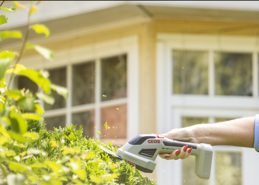 Как ухаживать за кустарниками и деревьями без лишних усилий