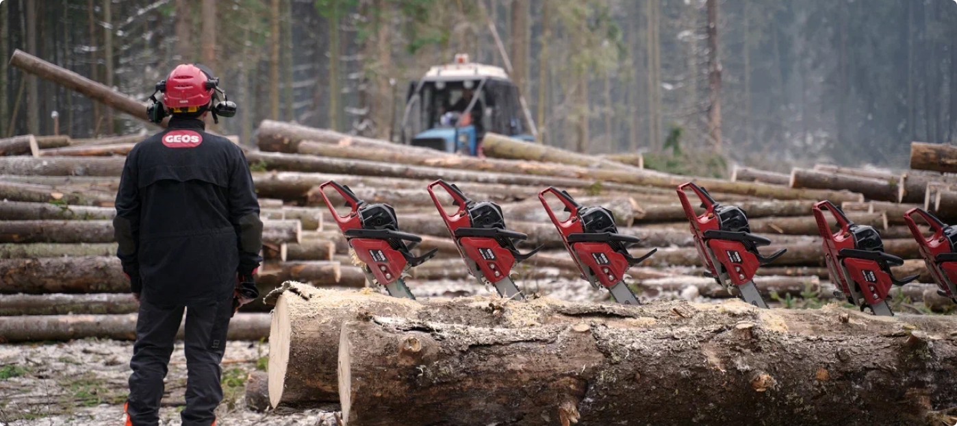 Компания GEOS